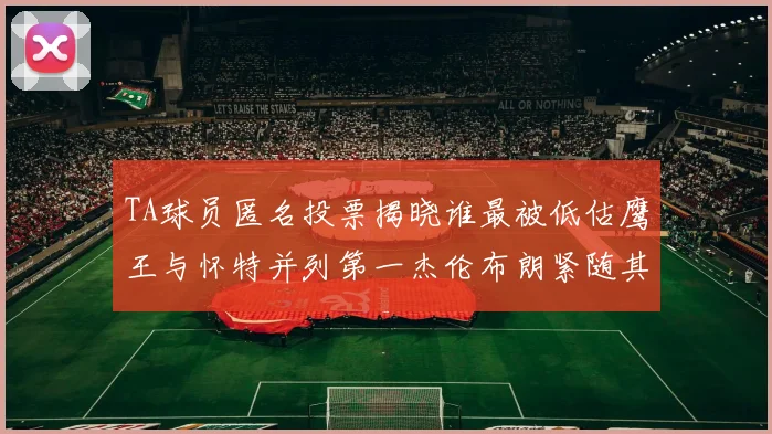 TA球员匿名投票揭晓谁最被低估鹰王与怀特并列第一杰伦布朗紧随其后